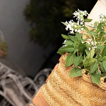 El Balcon De Santa Ana * Quéntar